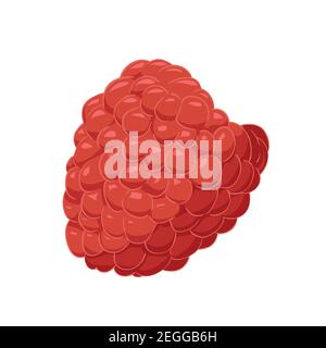 Vector raspberry. Red berrie on white background for design Stock Vector