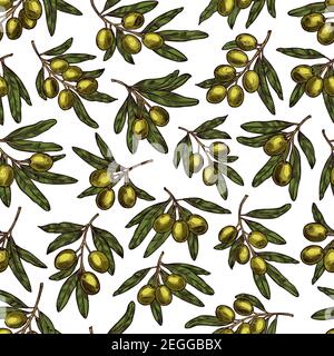Green olives seamless pattern background botanical design. Vector olive branches pattern for premium Italian or Spanish cuisine eco product or Mediter Stock Vector