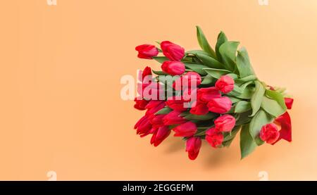 A large bouquet of red tulips lies on an orange background - spring flowers for the holiday of March 8 or Valentines Day. Banner. Copy space Stock Photo