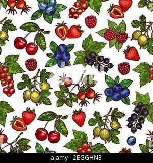 Vector set with seasonal summer berries. Strawberry or currant, blueberries and raspberries, cherries or gooseberry and dogrose. Vector pattern with c Stock Vector