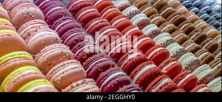 pasta of different colors on the counter in a pastry shop or store. Color background Stock Photo