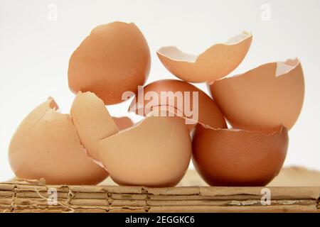 Pile of cracked broken eggshells on carton paper Stock Photo