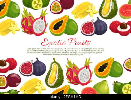 Exotic fruits poster of tropical passion fruit maracuya, carambola or papaya and guava. Vector farm market harvest of durian, rambutan, dragon fruit o Stock Vector