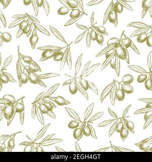 Olives seamless pattern of vector sketch olive branches and fruits. Tracery of green olives harvest for Italian cuisine design or extra virgin oil foo Stock Vector