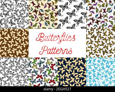 Butterfly seamless pattern background of flying tropical butterfly, monarch and moth. Insect background set for nature, ecology and wildlife themes de Stock Vector
