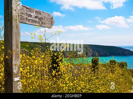 Coastal view in South West England (Cornwall) on a beautiful summer day Stock Photo
