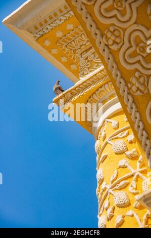 A pigeon sitting on la Merced Church / Iglesia de La Merced, Antigua Guatemala Stock Photo