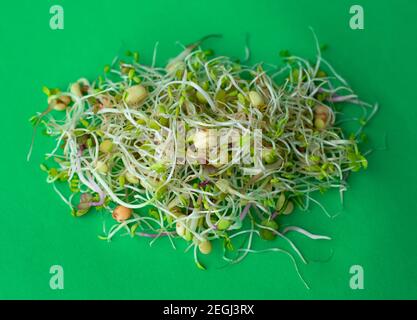 Mix of sprouts on a green background Stock Photo