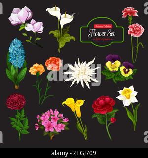 Flower icon of spring flowering plant. Daffodil, calla lily and peony, hyacinth, pansy and phlox, dahlia, aster and magnolia branch with green leaf fo Stock Vector