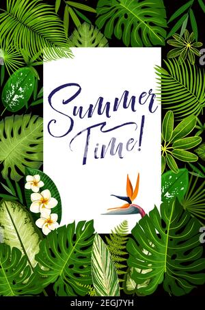 flyer template for summer time holidays Stock Vector Image & Art - Alamy