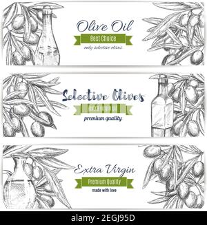 Olive oil and olives vector sketch banners. Olive-tree branches with green or black olive fruits for extra virgin cooking or salad oil for healthy ita Stock Vector