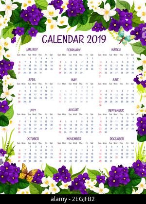 2019 calendar of blue crocuses and violets spring flowers. Vector floral design of blooming garden flourish springtime or summertime crocus blossoms f Stock Vector