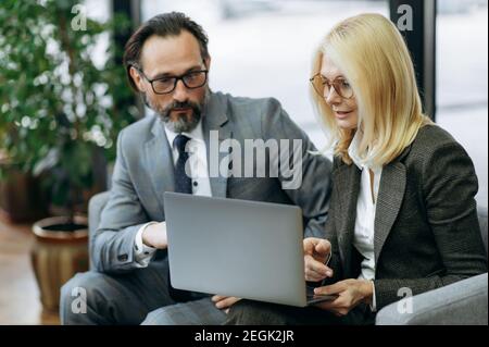 Focused middle aged coworkers sitting on the sofa in stylish suits, using laptop. Concentrated serious colleagues are developing new project or app, partnership concept Stock Photo
