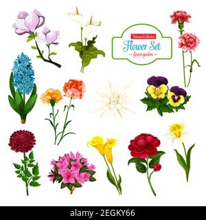 Flower of spring blooming plant and tree cartoon icon set. Daffodil, calla lily and pansy, peony, hyacinth and phlox, carnation, magnolia and aster fl Stock Vector
