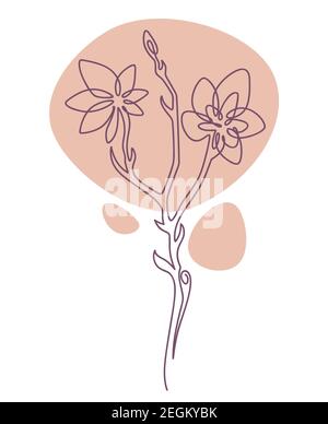 Botany minimalist sketch, spring flower blossom Stock Vector
