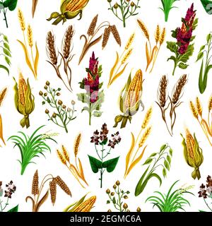 Grains and cereals seamless pattern. Vector background of corn, wheat and barley harvest or rye and oats millet for agriculture and food production or Stock Vector
