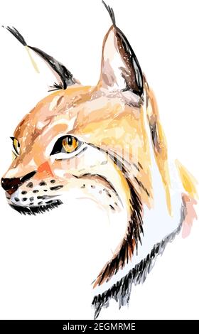 Hand drawn watercolor colorful illustration of lynx isolated on white background. Stock Vector