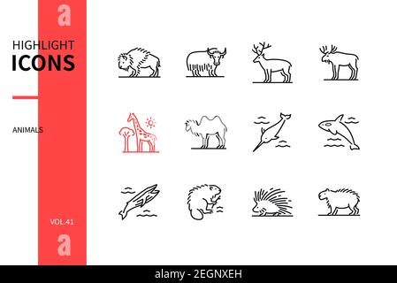 Animals collection - modern line design style icons set. Black and white images. Bison, yak, deer, moose, giraffe, camel, narwhal, killer and blue wha Stock Vector