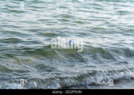 Plastic bottle floating in the ocean. Concept of pollution and garbage being thrown from the sea Stock Photo