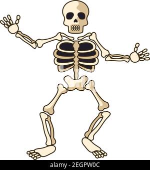 human skeleton icon isolated on white background. vector illustration Stock Vector
