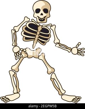 human skeleton icon isolated on white background. vector illustration Stock Vector