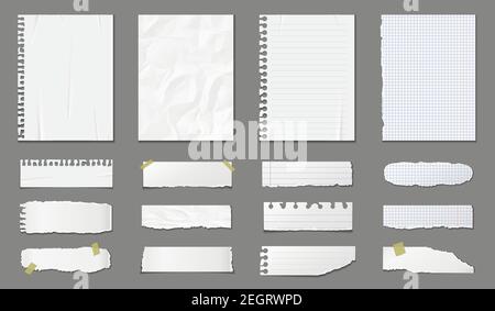 Set of different notebook pages and pieces of torn paper. Vector illustration Stock Vector
