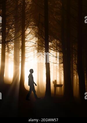 man walking in a forest Stock Photo