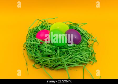 Four Colorful Easter Eggs Sitting in Green nest or Grass.Studio image. Stock Photo