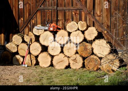 large stack of freshly cut tree rounds stacked against barn with husqvarna 445 chainsaw on top waiting for splitting with axe zala county hungary Stock Photo