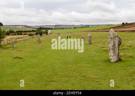 View up the West Kennet Avenue of sarsen stones (with Avebury Henge & Stone Circles site behind camera), Wiltshire, England. Stock Photo