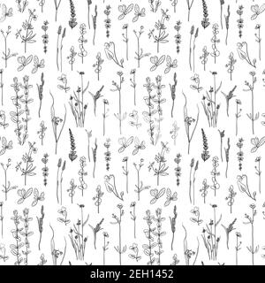 Seamles pattern with outline black and white meadow plants. Stock Vector