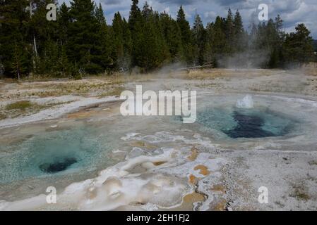 Colorful geothermal features at Old Faithful geothermal area in Yellowstone National Park, Wyoming, USA Stock Photo
