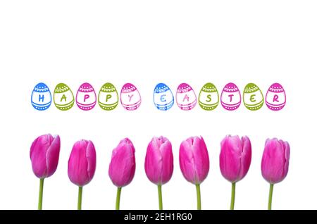 Happy Easter poster and banner template with Easter eggs and pink tulips on the white background.Greetings and presents for Easter Day. Stock Photo