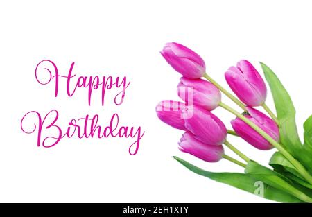 Happy Birthday Greeting Card with beautiful pink Spring Tulips on white background. Pink Tulips with text Happy Birthday. Greeting cards. Stock Photo