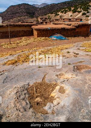 Dinosaur footprints preserved in the rock in the M'Goun region of the Atlas mountains in Morocco Stock Photo