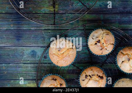 Vanilla and chocolate muffins on a round rack and a light blue wooden backdrop. Stock Photo