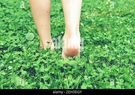 Foots of a child, viewed from the back, walking in the green grass field, selective focus, close up, bokeh Stock Photo