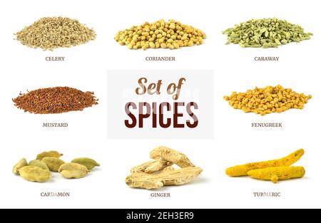 Set of spices isolated on white background Stock Photo