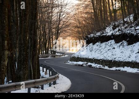 Aspromonte - Snowy forest Credit Giuseppe Andidero Stock Photo