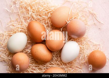 Group of free range organic chicken eggs, top view Stock Photo