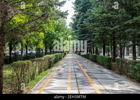 A cycle lane painted on a footpath between trees in the centre of Bucharest, Romania Stock Photo