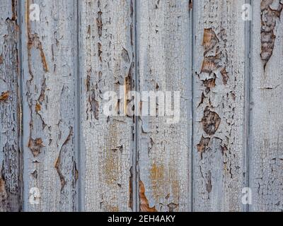 White painted weathered wood background Stock Photo