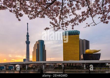 Tokyo, Japan cityscape on the Sumida River in spring season. Stock Photo