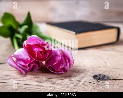 pink tulips on a pile of old books and Stock Photo