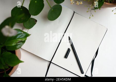 Notebook workplace flat lay white home office workplace green potted plants indoor concept notes pen journaling writing at home hobby  spring Stock Photo