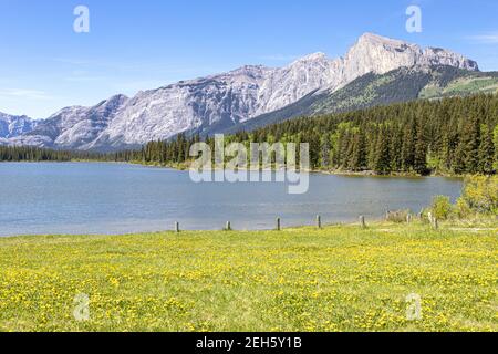 A lake in Kananaskis Country west of Calgary, Alberta, Canada in the foothills of the Canadian Rockies Stock Photo