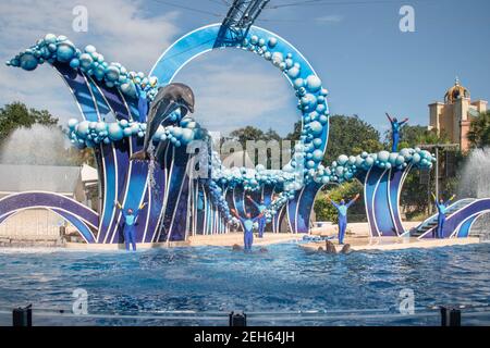 Orlando, Florida. November 20, 2020. Dolphins jumping in Dolphins Day Show at Seaworld (125) Stock Photo