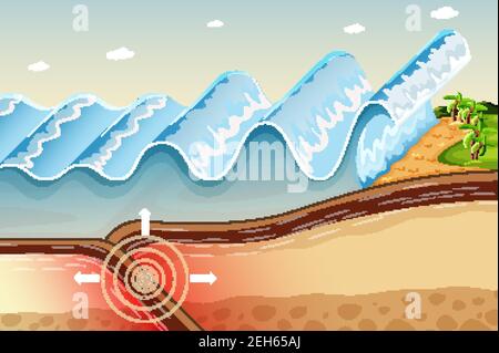 tsunami diagram with labels