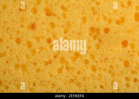 Detailed closeup macro of sponge texture showing detailed holes and structure Stock Photo