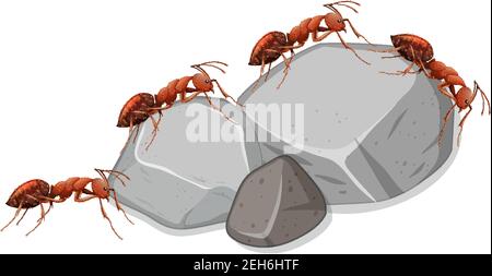Many ants on stones on white background illustration Stock Vector